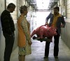 madonnas pig 1.jpg